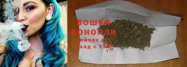 ECSTASY Белокуриха