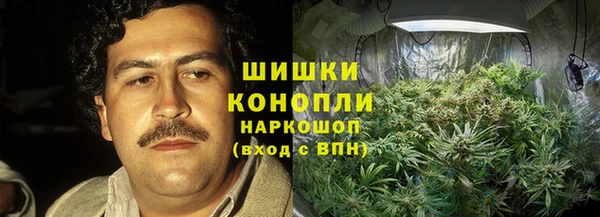 ECSTASY Белокуриха