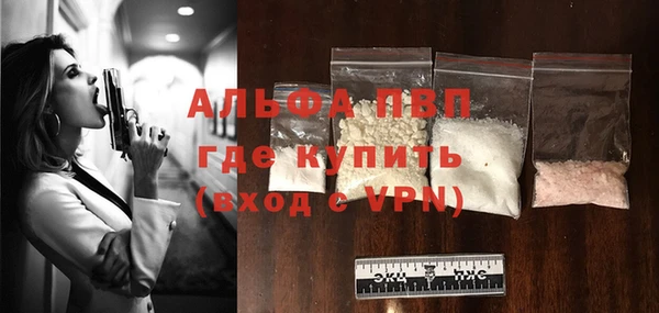 ECSTASY Белокуриха