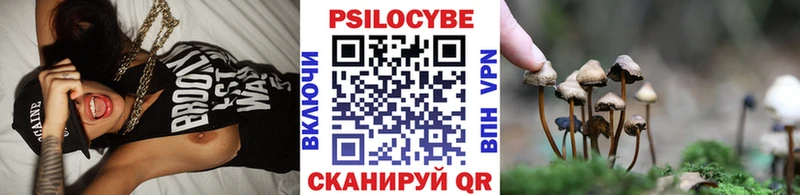 Псилоцибиновые грибы GOLDEN TEACHER  Пикалёво 